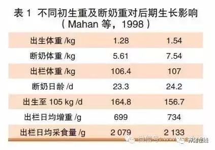 如何才能使仔猪顺利渡过断奶关？这篇文章很实用！