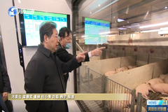 河南省委书记楼阳生莅临牧原肉食产业综合体调研生猪产业发展，深入楼房猪舍内部视察！