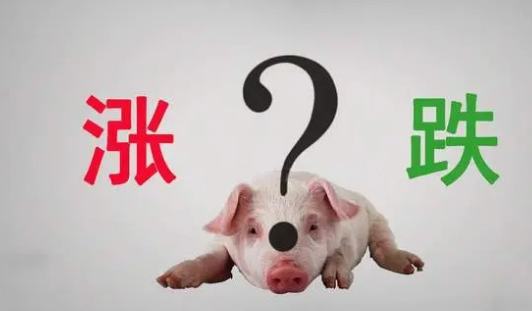 生猪价格下降，年内第三批猪肉收储将启动，猪价何时好转？