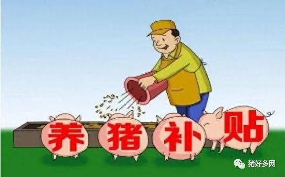 养猪补贴