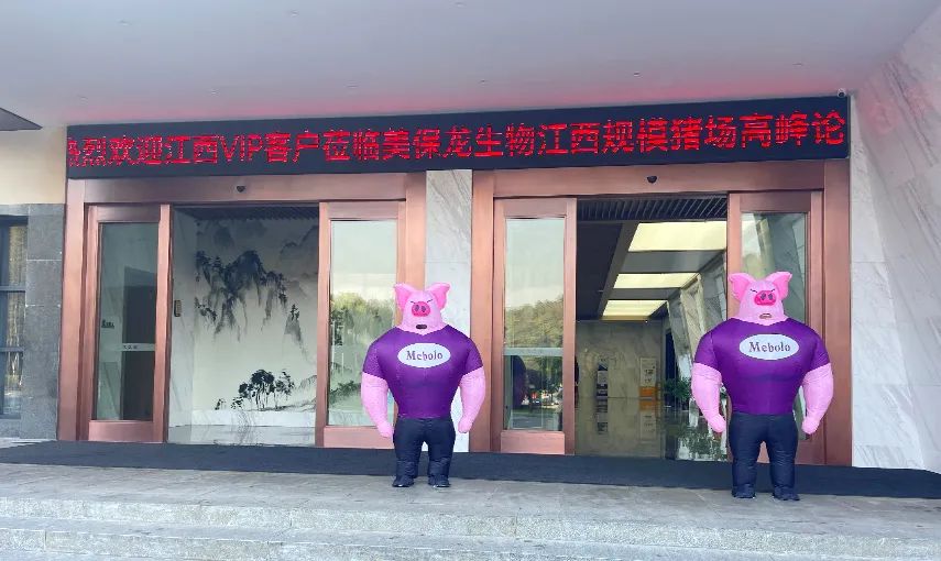 中国好种猪大会