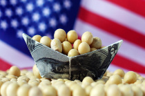 美国大豆对中国生猪产业影响