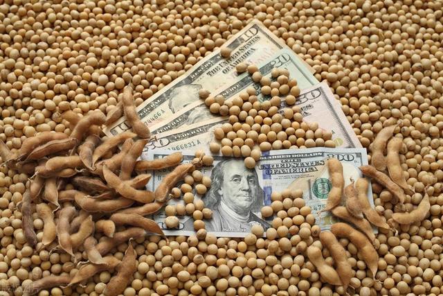 豆粕价格跌破4000元/吨！进口大豆持续飙升，豆粕扛不住了！