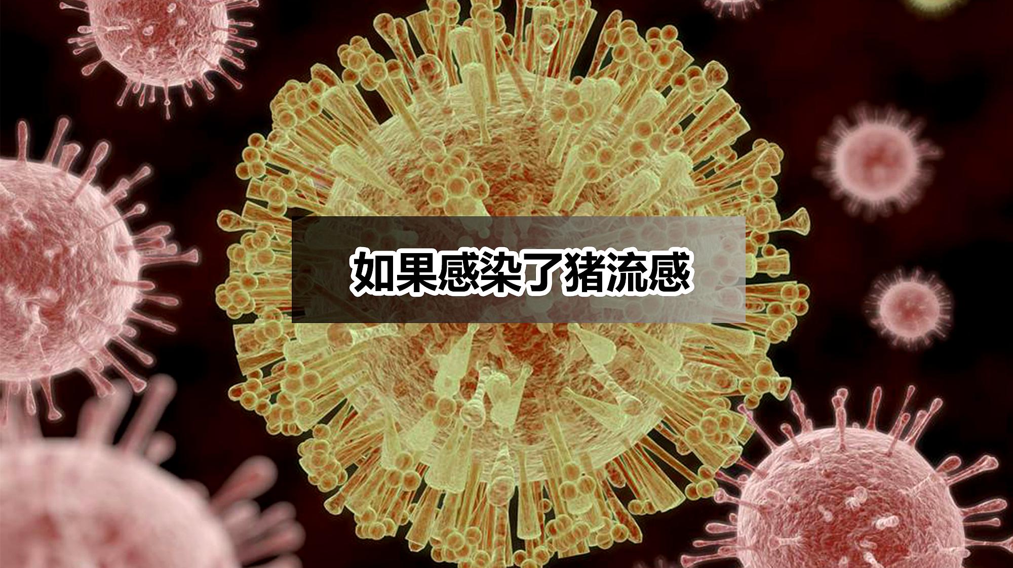 英国报告首例人感染H1N2病例 病毒与猪流感很相似