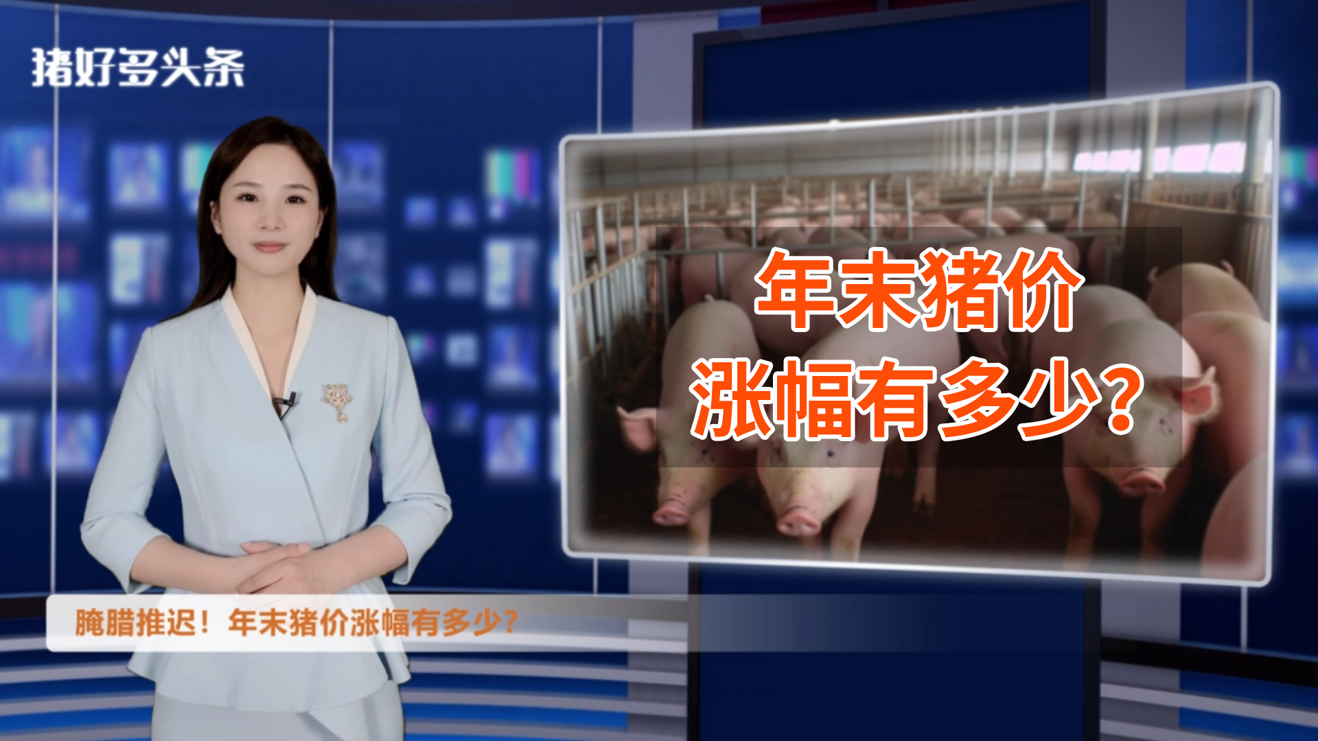 猪肉价格连跌！腌腊推迟！业内人士预测猪价上涨高度