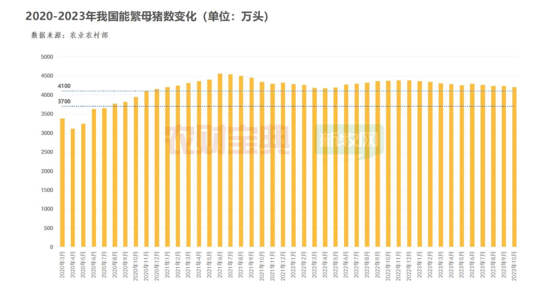 仔猪跌破200元/头，淘汰母猪4.5元/斤！官方预测：将企稳回升