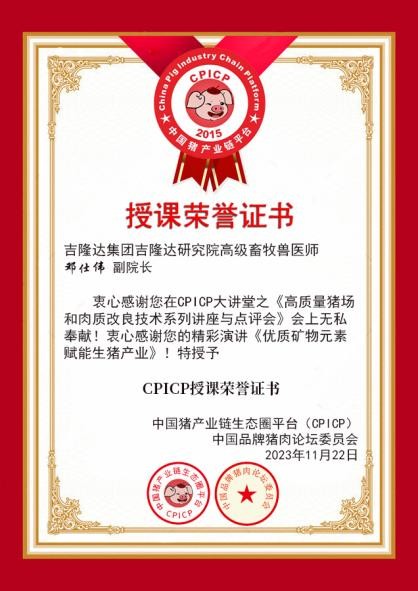 邓仕伟副院长荣誉证书