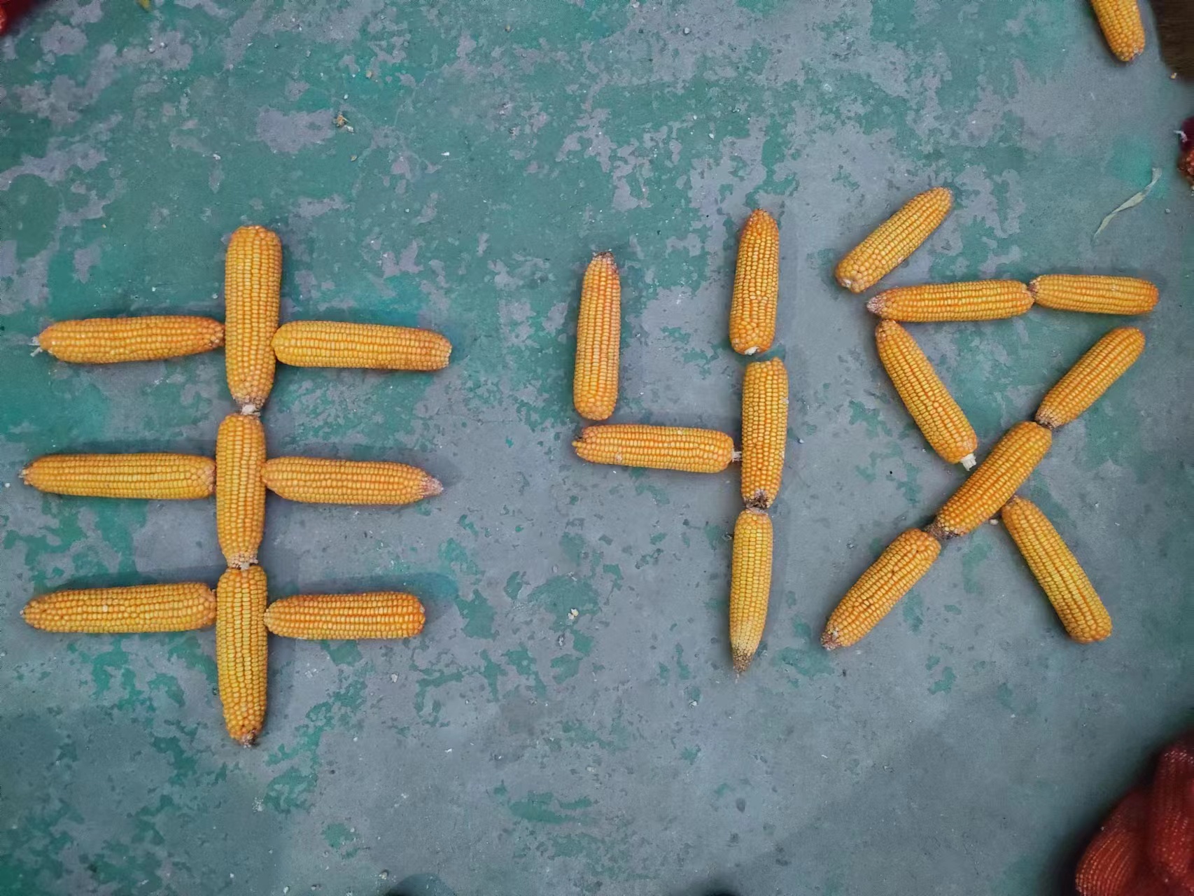豆粕最低3820元/吨，玉米2300元还在降！12月再迎饲料降价潮？