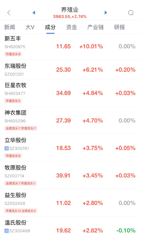 猪股大涨