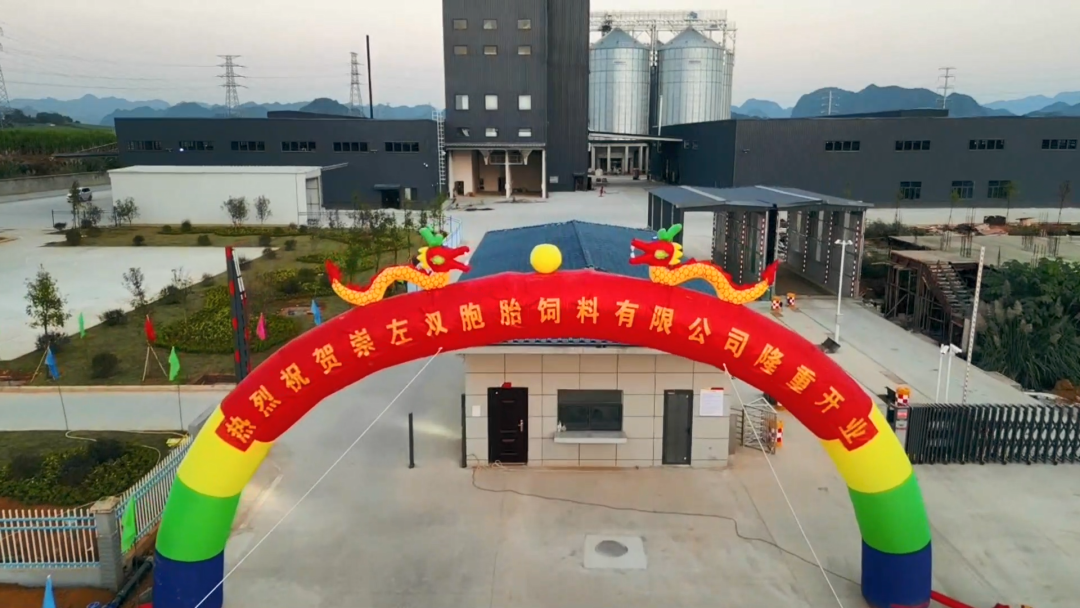 热烈祝贺双胞胎集团崇左工厂建成投产！