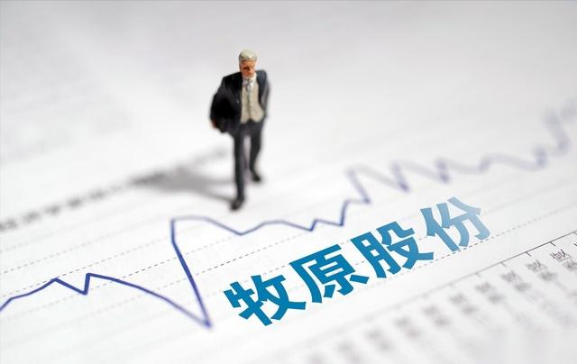 拟申请授信不超1300亿元！牧原股份2023年生猪出栏量调整为6250万头-6400万头