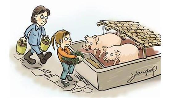 巧用非粮饲料，成本低效益高！农村养猪可利用的非粮饲料有哪些？