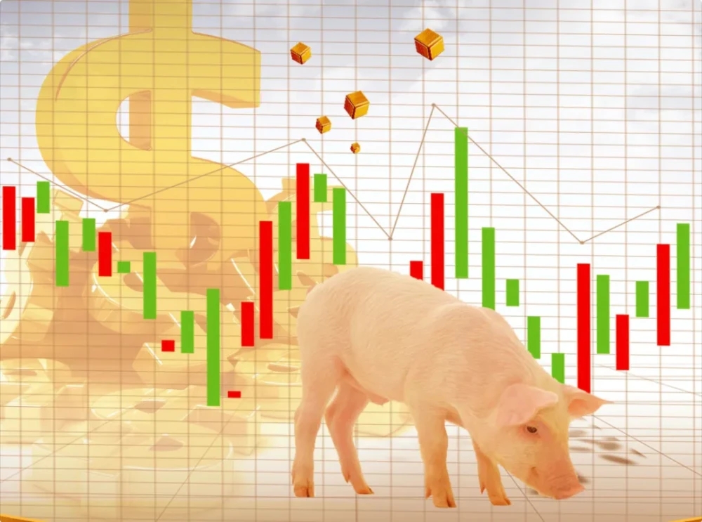 生猪市场行情随预期变化不断变化，当前最大的不确定因素还是猪病？