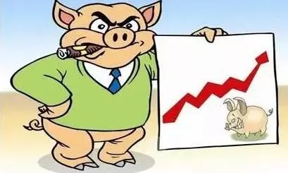 猪价上涨不断，6天大涨7.8%，情绪仍是重要的因素！