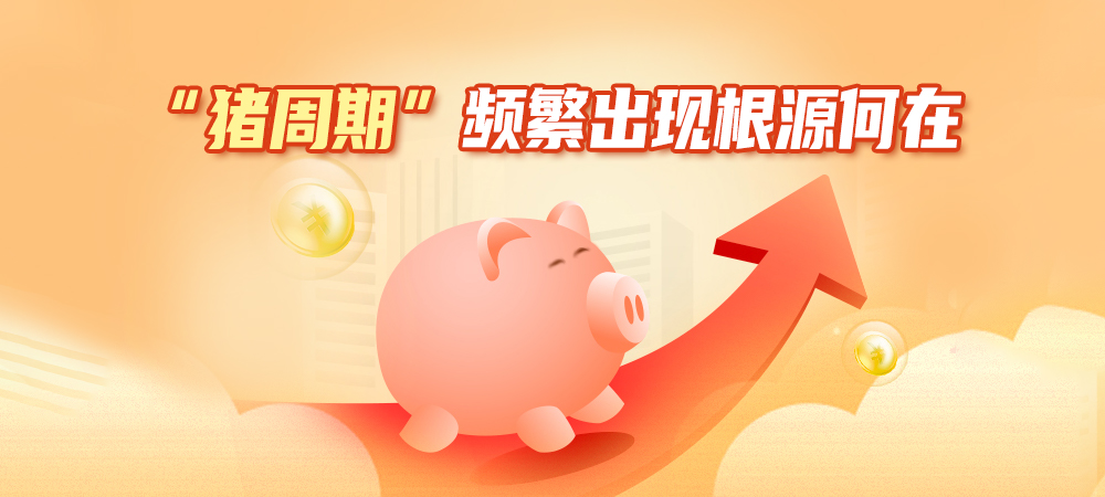 “猪周期”反复出现，怎样保持猪肉价格在合理范围内波动？