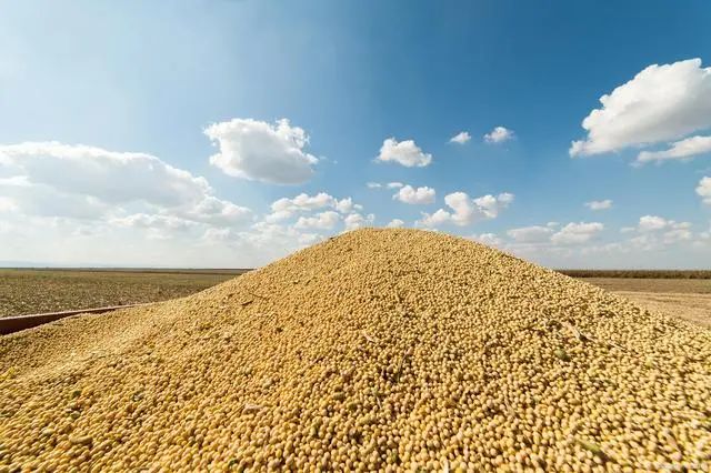 巴西大豆将创纪录！大豆、豆粕的价格预计将下降