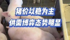 12月25日生猪价格：整体以稳为主，暂无明显利好支撑，养殖端出栏压力仍存！