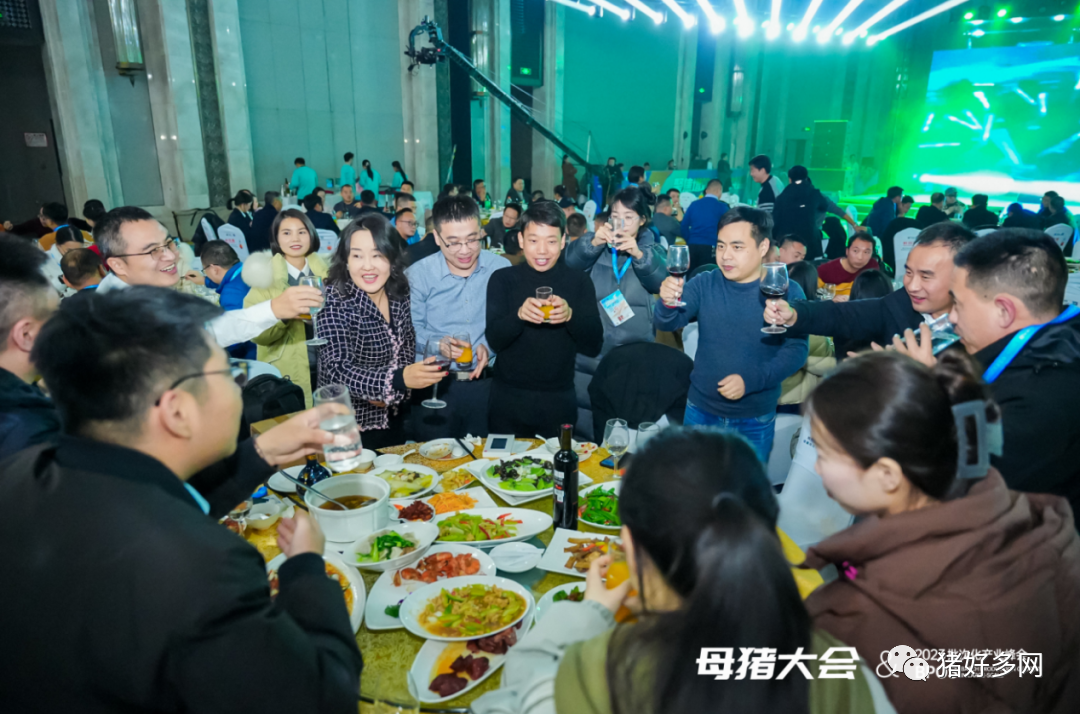 聚焦增效 维稳共赢！宁波第二激素厂晚宴冠名“中国猪业（2023）规模猪场母猪批次化生产产业峰会”！