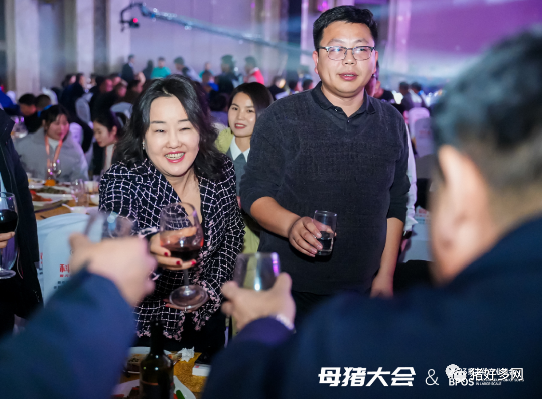 聚焦增效 维稳共赢！宁波第二激素厂晚宴冠名“中国猪业（2023）规模猪场母猪批次化生产产业峰会”！