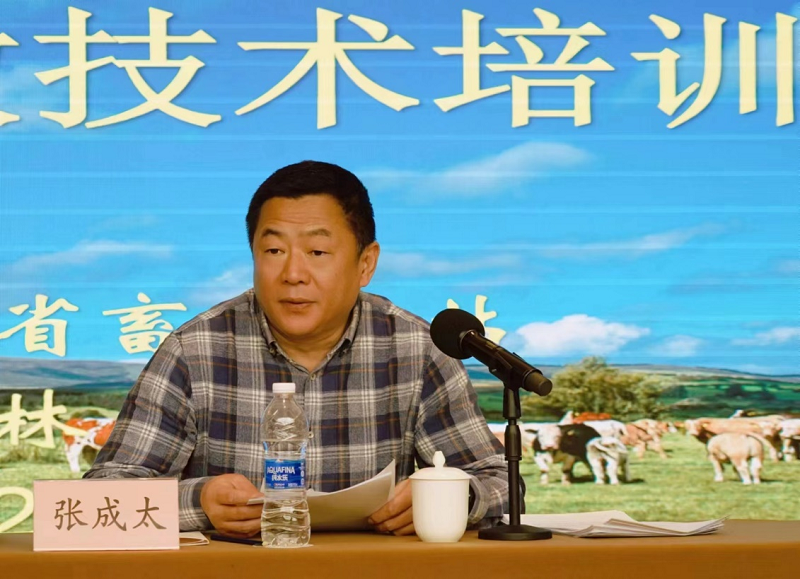 张成太