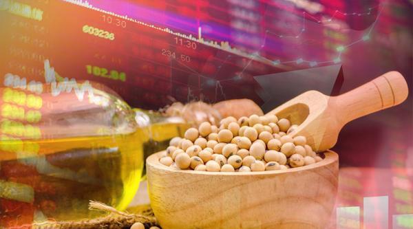 预计2024年中国豆粕现货均价或延续跌势？