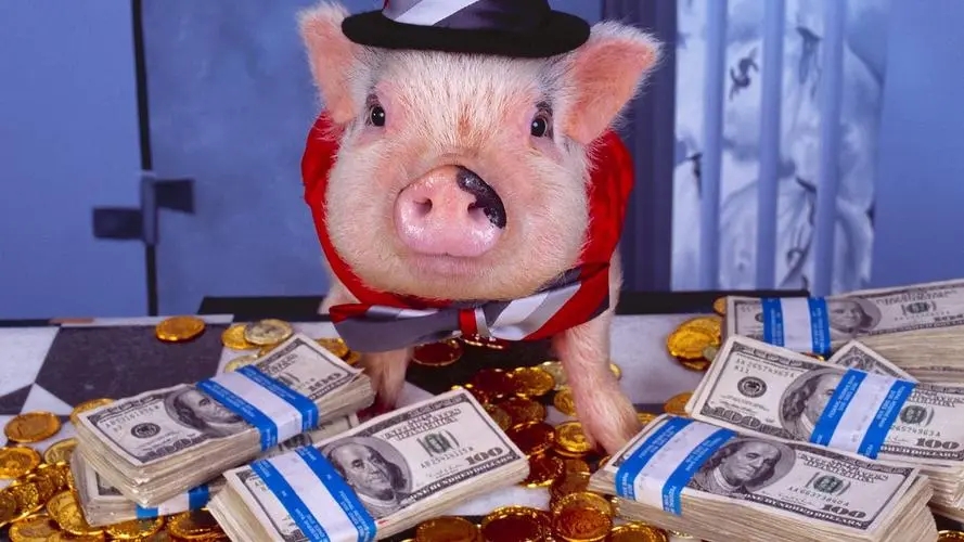 多地掉下7元/斤，预计年前猪价回涨或有望止损？