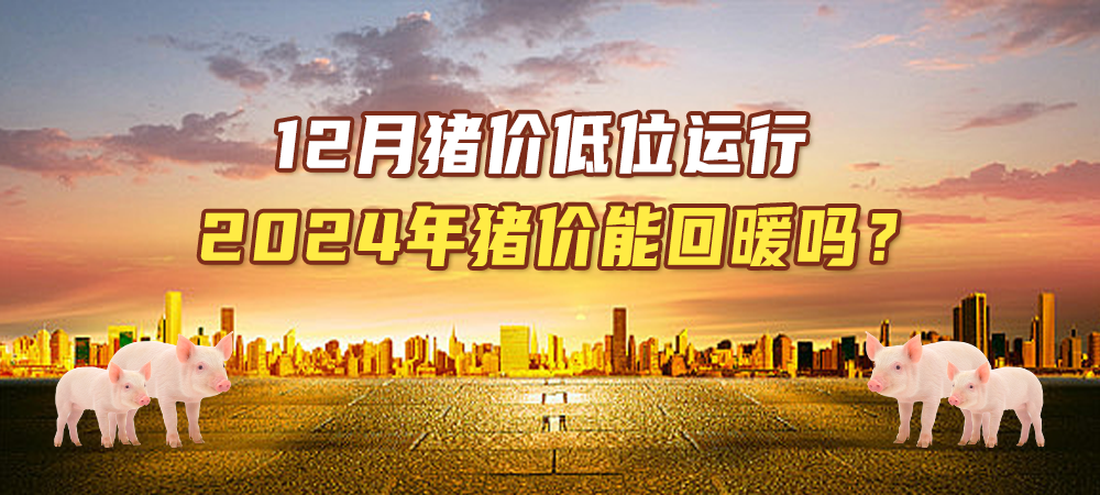 12月猪价低位运行，2024年猪价能回暖吗？