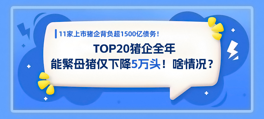 11家上市猪企背负超1500亿债务！TOP20猪企全年能繁母猪仅下降5万头！啥情况？