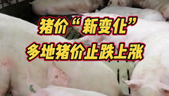 1月14日生猪价格：止跌上涨！养殖端出栏持续增量，市场又有新变化？