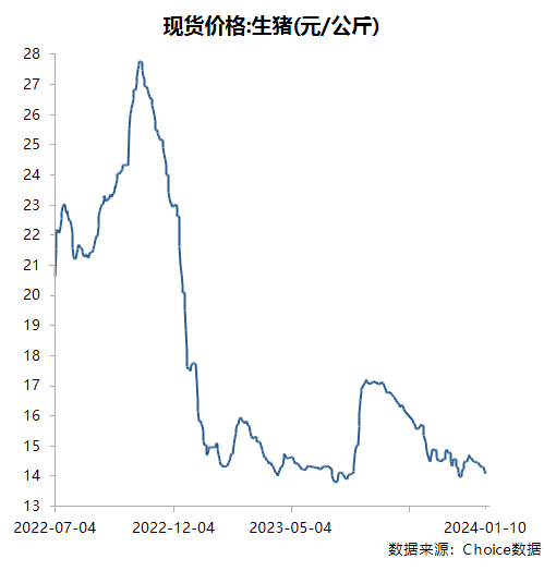 越亏越养？11家上市猪企背负超1500亿债务，top10猪企全年能繁母猪还增加14万头！