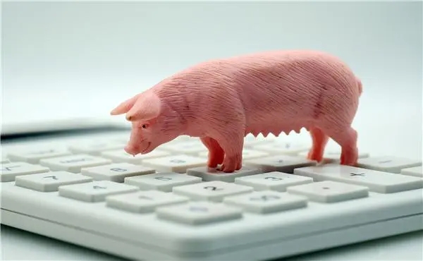 2024年1-6月生猪均价或将高于7.3元/斤？2024年猪价拐点已来？
