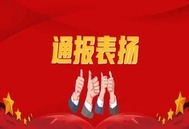 连续多年抽检不合格产品批次为零！齐鲁动保获农业农村部监督抽检通报表扬