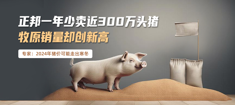 猪价大幅下跌，龙头猪企销量却创新高，猪企在新的一年该如何生存？