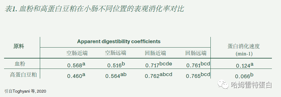 消化道不同部位的表观消化率对比