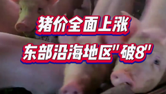 1月27日生猪价格：太给力了！全国猪价一片红，多地猪价上涨超8毛/公斤！