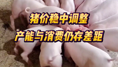 1月26日生猪价格：稳中涨跌调整，市场普遍看好二季度行情，猪价能达预期吗？