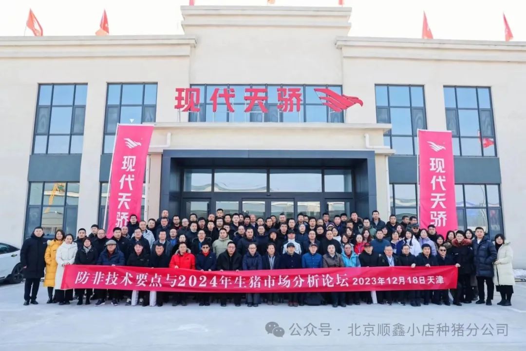 防非技术要点与2024年生猪市场分析论坛
