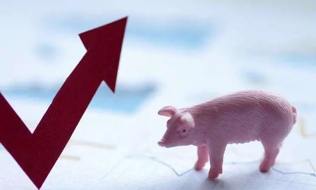 猪价不断拉涨，养殖利润扭亏为盈，后市或涨势放缓？