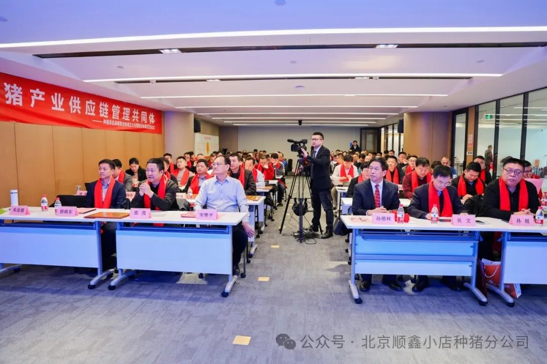 种猪供应战略联合体