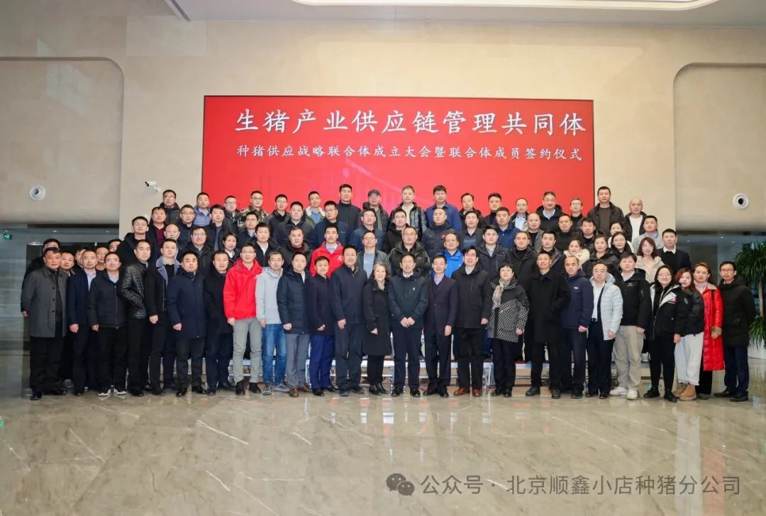 祝贺北京顺鑫农业小店种猪分公司成为首批生猪产业供应链管理共同体-种猪供应战略联合体成员