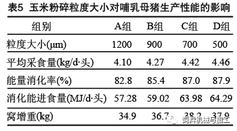 玉米粉碎粒度大小对母猪哺乳性能的影响