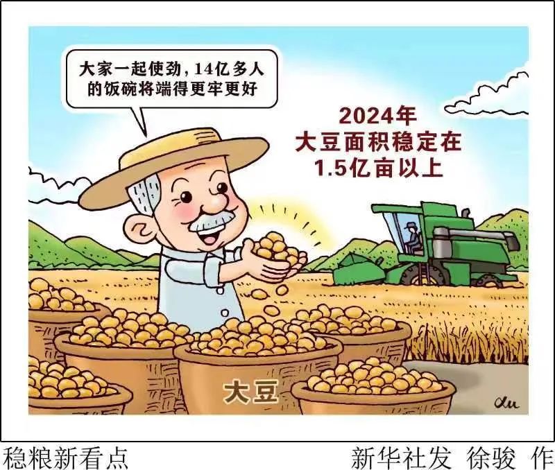 中国稳粮新看点！“金豆豆”1.5亿亩以上