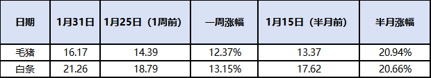 毛猪与猪肉近期价格上涨对比