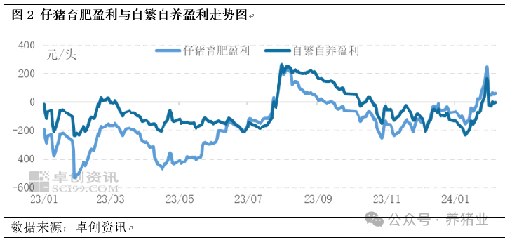 仔猪育肥盈利与自繁自养盈利走势