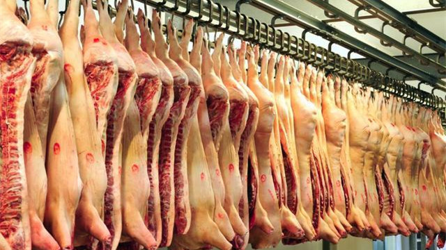2024年02月13日全国各省市白条猪肉批发均价报价表，北方地区白条价格涨幅较大，猪肉市场红火