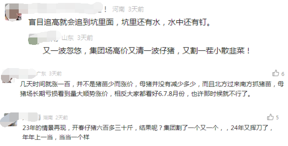 仔猪价格暴涨至500元/头，要不要补栏？上市猪企如何看待2024猪价？