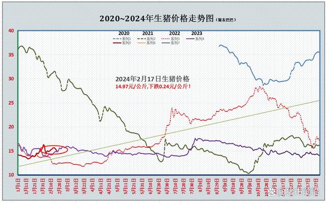 跌势反扑，南北猪价“绿油油”！年后行情要跌回“原价”？