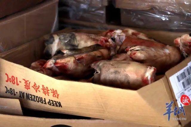 走私冻肉