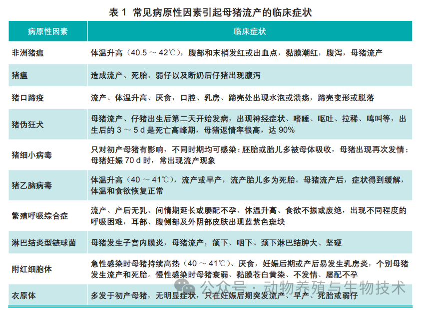 常见病原性因素引起母猪流产的临床症状