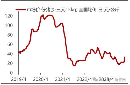 仔猪价格走势